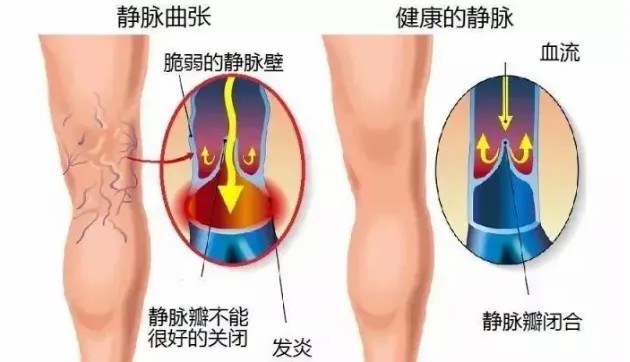 www.jmqzzl.cn